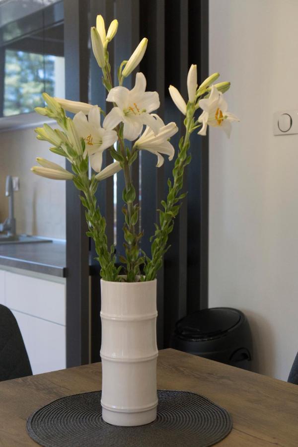 Apartman Aurora Trebinje Extérieur photo